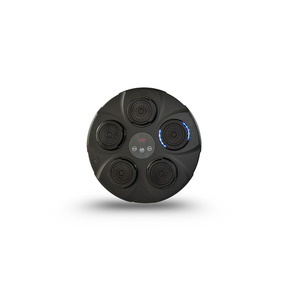 Intelligence Boxing Training