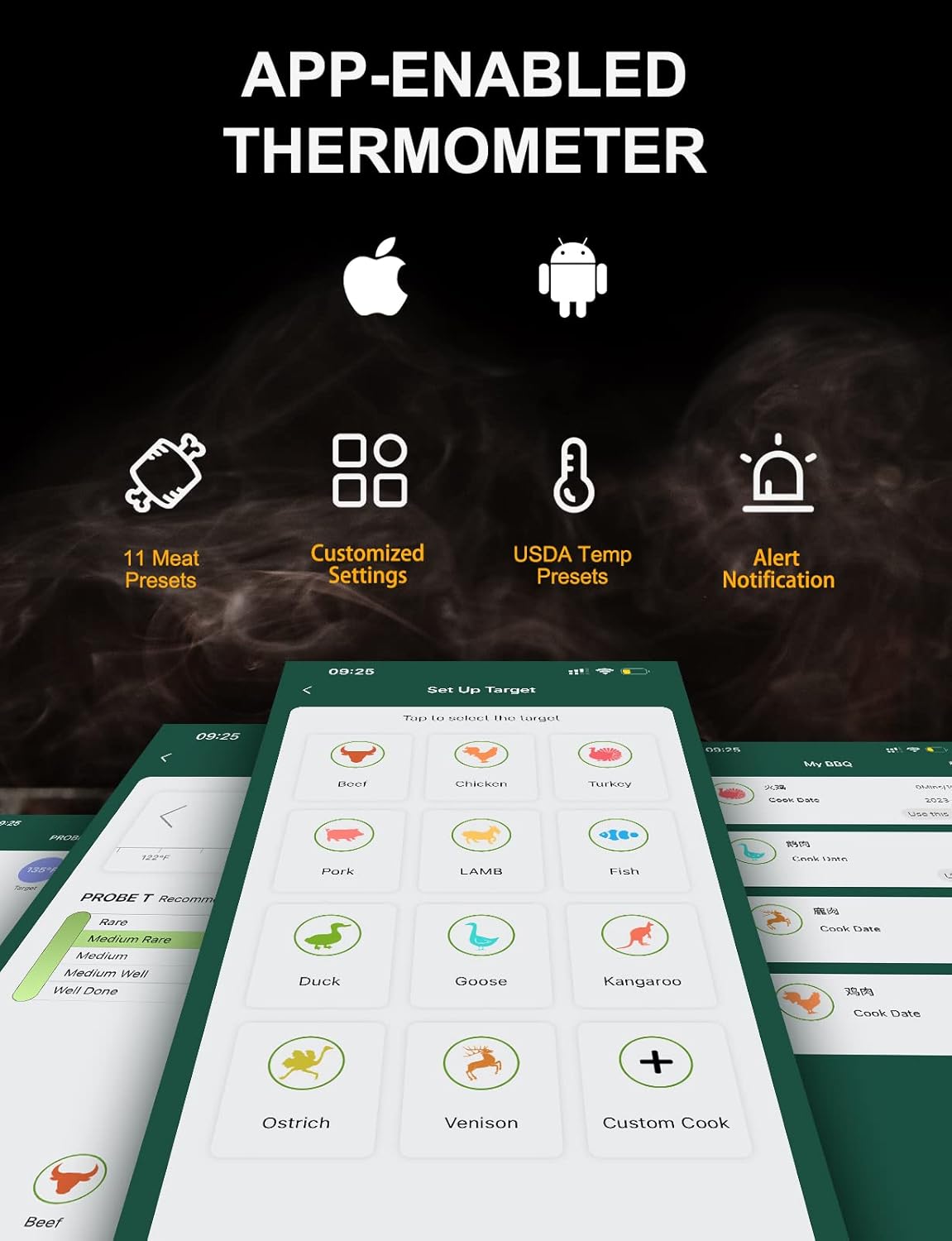 Wireless Digital Meat Thermometer Regular