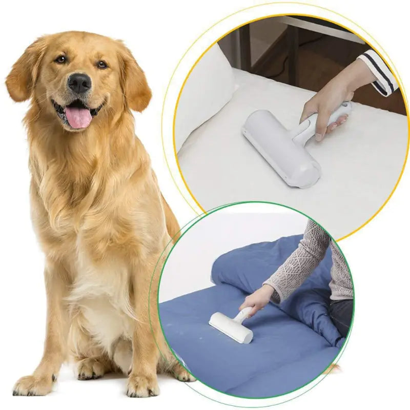 Pet Hair Remover Roller for Furniture